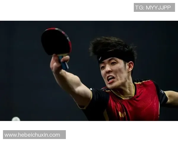 重磅专题解析成都网球队中路突破的创新战术与实践探索