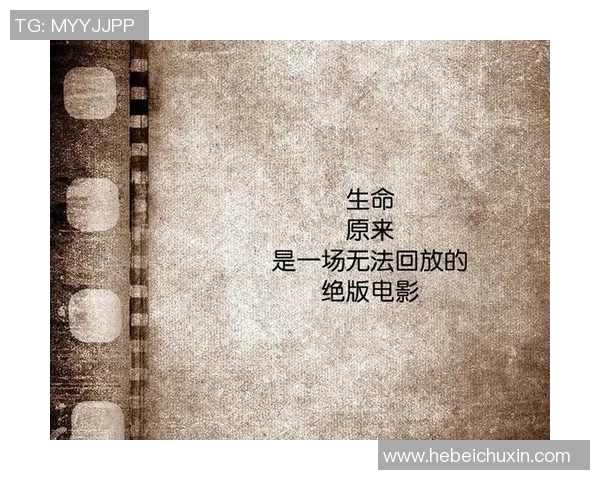 棺材踢足球的奇妙冒险揭示生命与死亡的深刻哲理