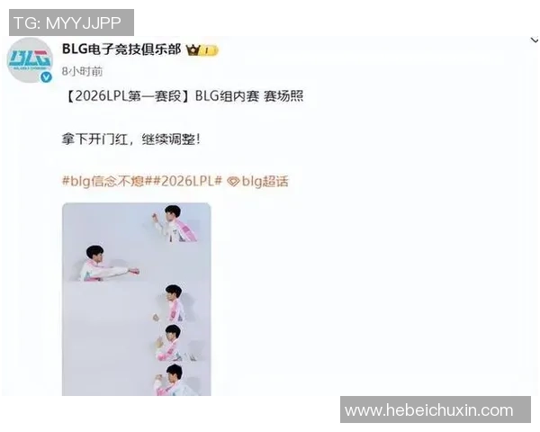 王者荣耀深度解析:BLG战队选手个人能力的独特魅力与战术价值